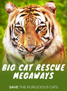 Big Cat Rescue Megaways