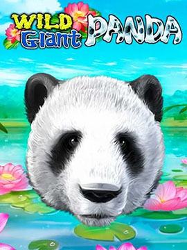 wildgiantpanda