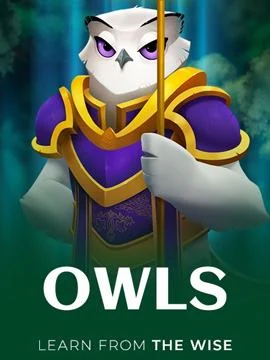 Owls