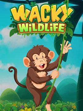 Wacky Wildlife